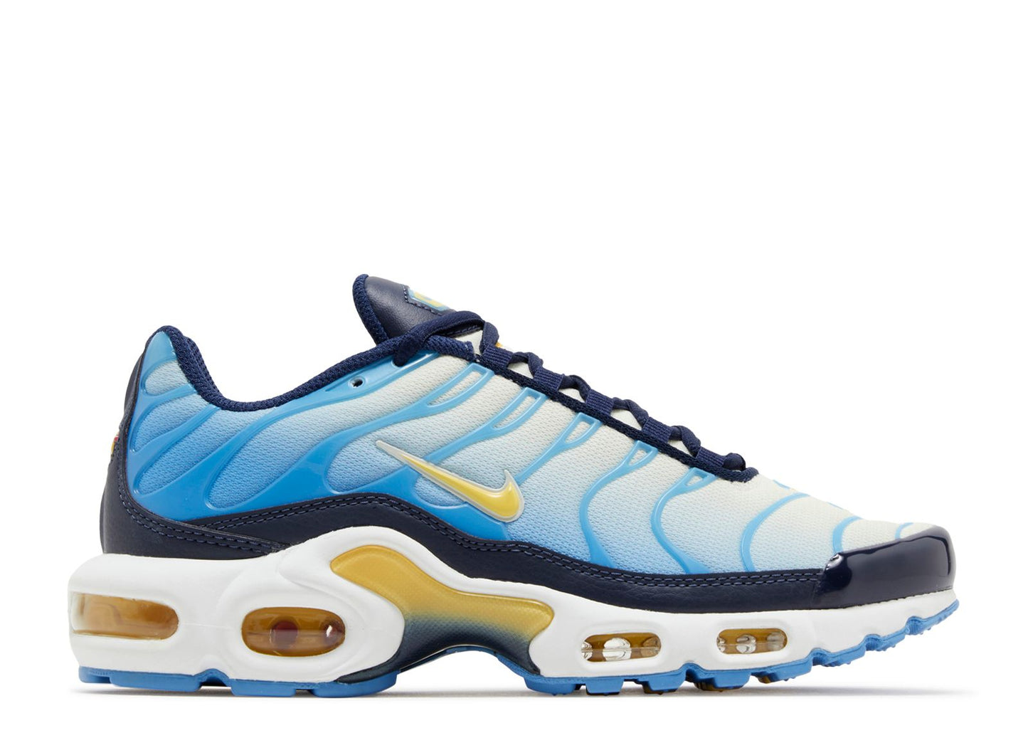 Air Max Plus University Blue Topaz Gold – Flower Kickz