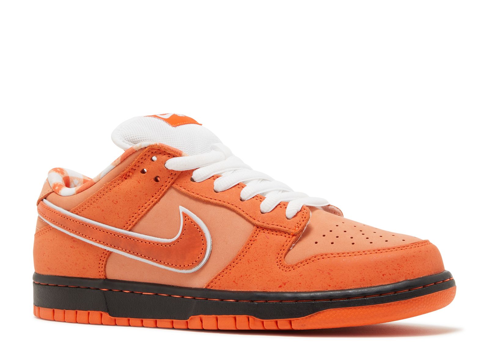 concepts orange lobsters