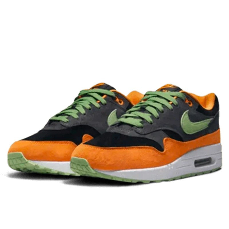 Air Max 1 PRM Duck Anthracite