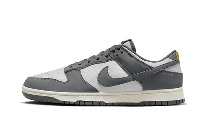 Dunk Low Next Nature Iron Grey Lightning