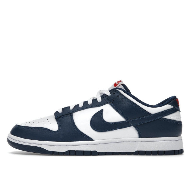 Nike Dunk Low Valerian Blue