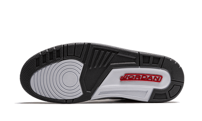 Air Jordan 3 Retro Cool Grey (2021)
